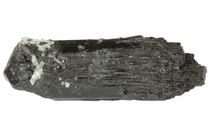 Black Tourmaline (Schorl) Crystal - Namibia #69167